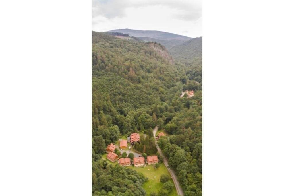 Ferienwohnung Forsthaus Am Brocken, 55 Qm, 2 Schlafzimmer F7 Ilsenburg Exterior photo